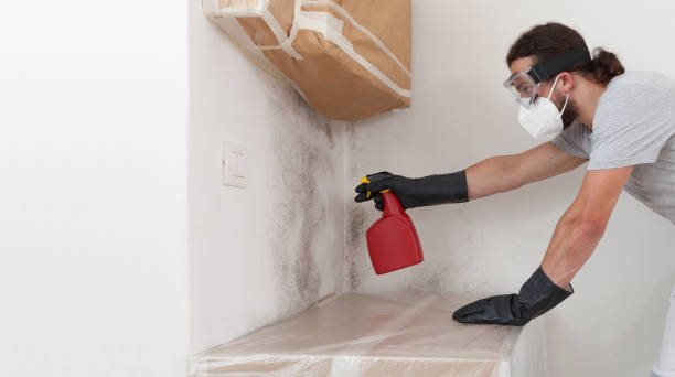 Professional Crawl Space Mold Remediation technician working in Woodbury, NJ