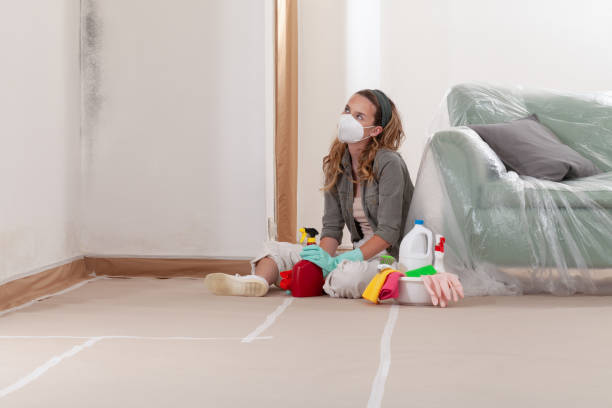 Reliable Crawl Space Mold Remediation contractor in Woodbury, NJ by Car Mold Remediation