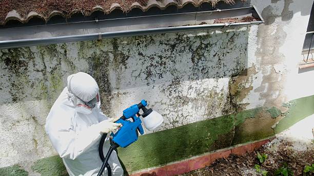 Top rated local Crawl Space Mold Remediation specialists in Woodbury, NJ